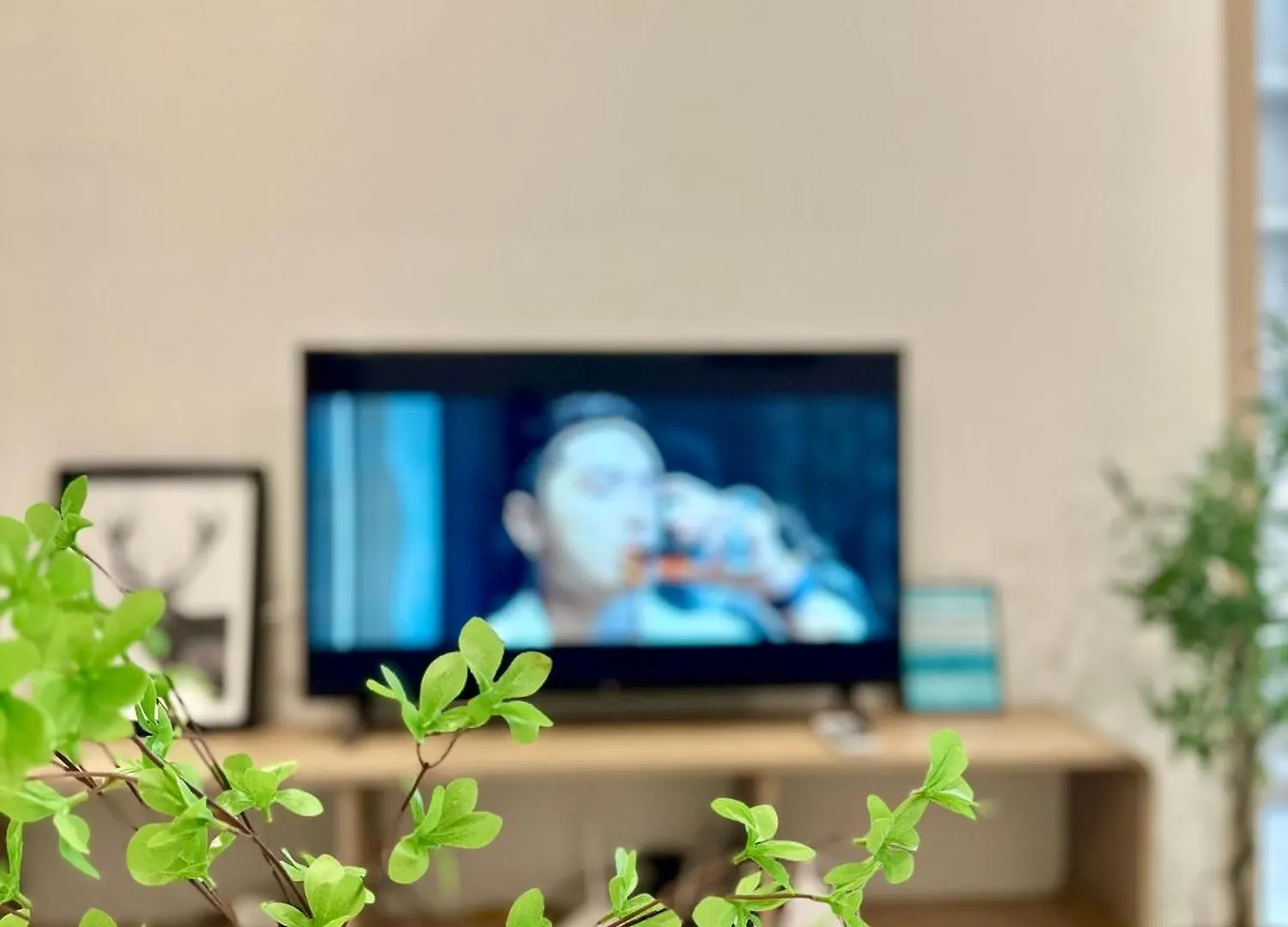 The Song Premium Apartment Vung Tau 0*,